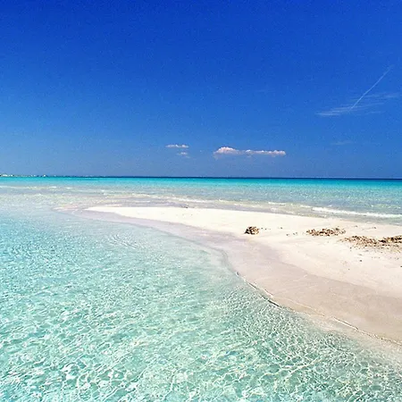 Casa Mario 1a A 180 Mt Dal Mare Di Punta Prosciutto