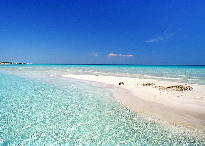 Casa Mario 1a A 180 Mt Dal Mare Di Punta Prosciutto